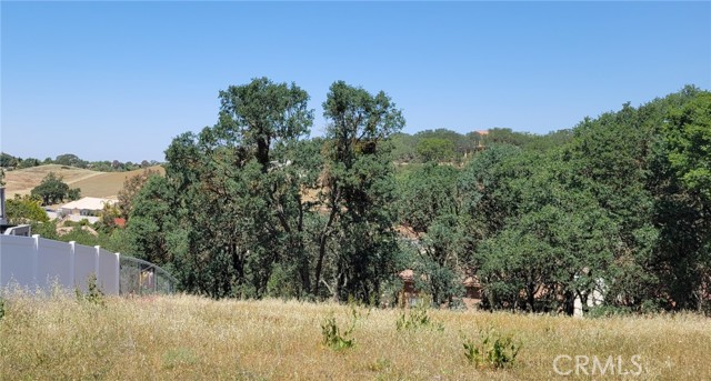 0 Grand Canyon, Paso Robles, CA, 93446 0 Grand Canyon, Paso Robles, CA, 93446