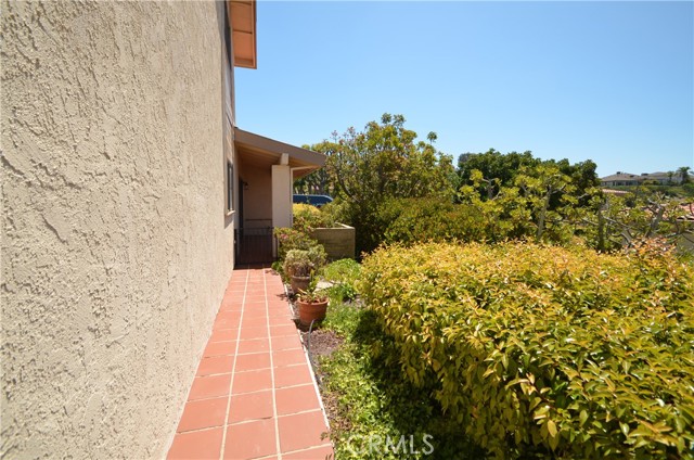 Front patio walk way leads to the back patio Front patio walk way leads to the back patio