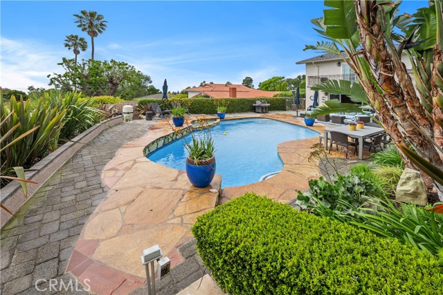 Backyard and pool