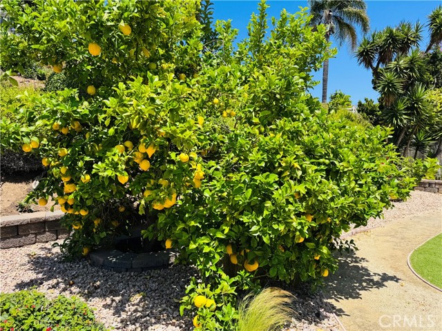 Home for Sale in San Diego