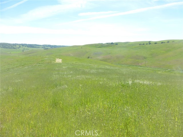 Detail Gallery Image 13 of 40 For 0 Douglas Rd. (Lot 43), San Miguel,  CA 93451 - – Beds | – Baths