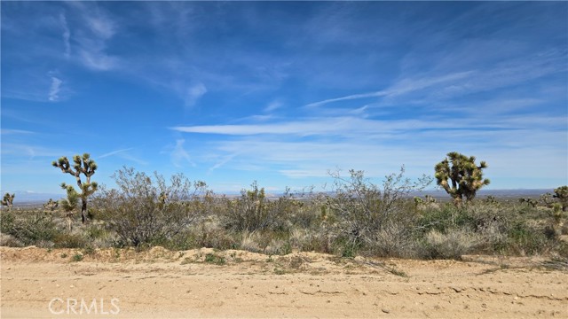 Detail Gallery Image 18 of 50 For 0 Fort Tejon Rd Vicinity 181st St E, Llano,  CA 93544 - – Beds | – Baths