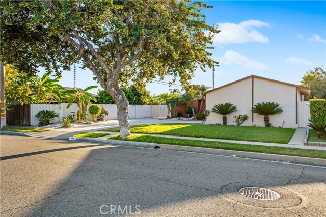 645 S Archer Street, Anaheim CA: https://media.crmls.org/medias/d2f4dd01-3fa1-4d3f-b20a-4cb8e8166c80.jpg