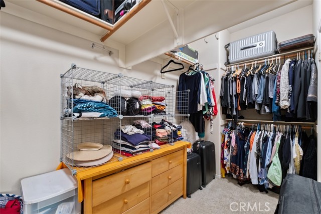 Image 24 of 57 For 30 Acanthus  