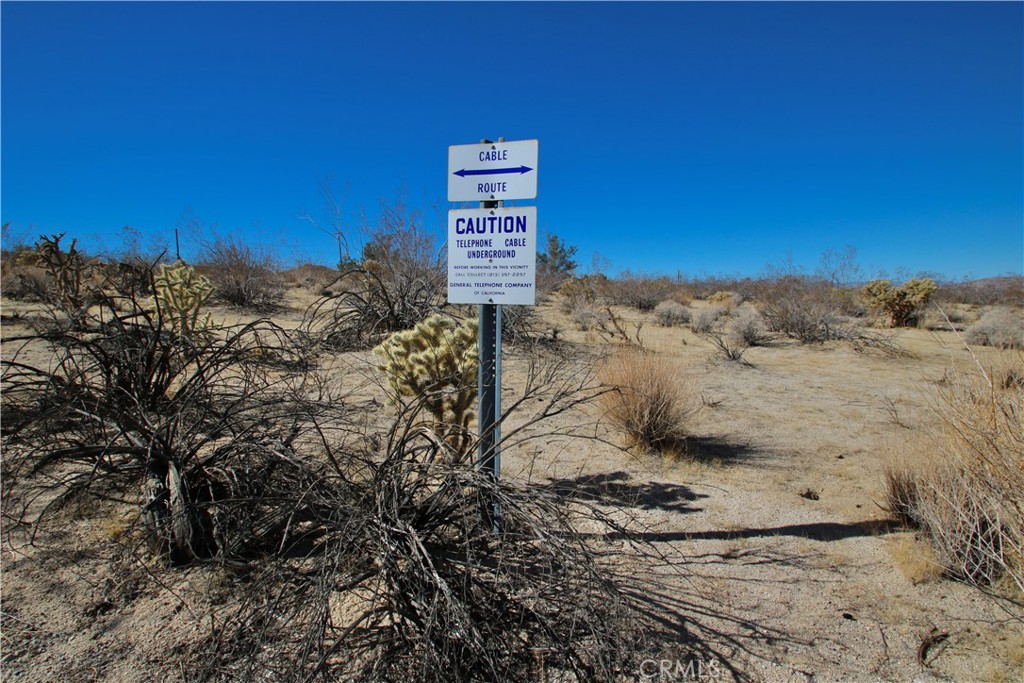 MLS #JT25250463 image #14