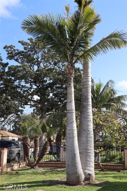 3856 W 111th Place #2, Inglewood, CA, 90303 3856 W 111th Place #2, Inglewood, CA, 90303