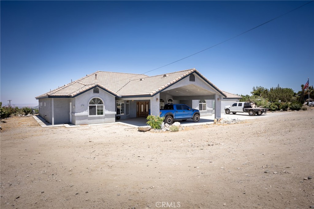 1220 Smoke Tree
