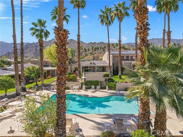 Image 29 of 45 For 73575 Encelia