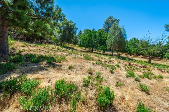 Detail Gallery Image 52 of 75 For 3126 Edgewood Drive, Kelseyville,  CA 95451 - – Beds | – Baths