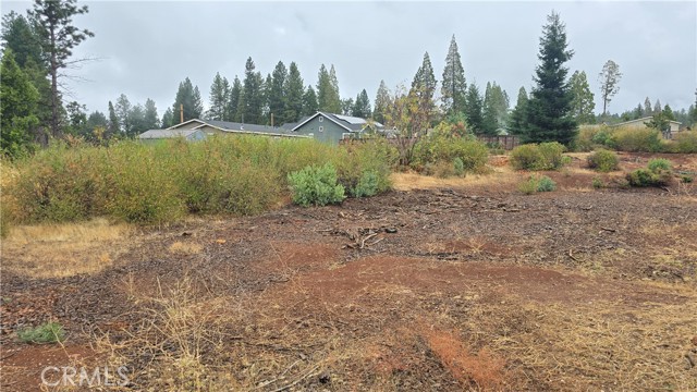 Detail Gallery Image 6 of 9 For 6167 Ponderosa, Magalia,  CA 95954 - – Beds | – Baths