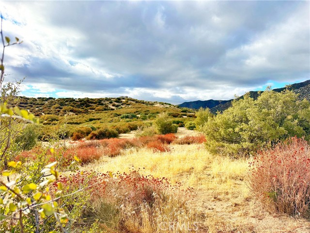 Detail Gallery Image 30 of 46 For 40 Acres via Oak Grove Ln, Ranchita,  CA 92066 - – Beds | – Baths