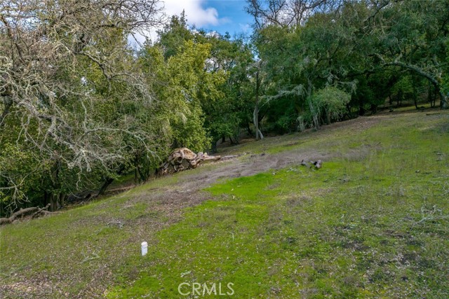 Detail Gallery Image 2 of 15 For 0 Lot 12 Morro Rd., Atascadero,  CA 93422 - – Beds | – Baths