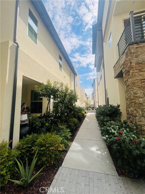 19545 Herringbone Drive photo 4