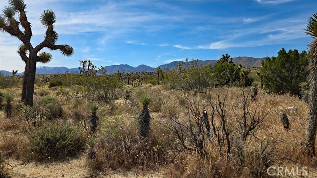 Detail Gallery Image 21 of 49 For 0 103rd St East Vicinity W14, –,  CA 93543 - – Beds | – Baths