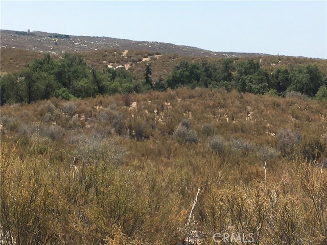 Detail Gallery Image 30 of 51 For 35010 Willow Creek Rd, Hemet,  CA 92544 - – Beds | – Baths