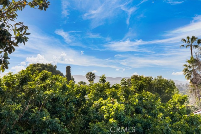 Image 52 of 70 For 24811 Spadra