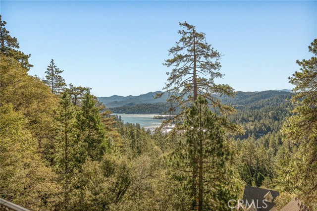 201 Grizzly, Lake Arrowhead, CA 92352