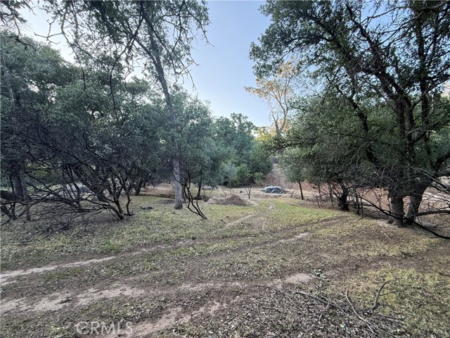Detail Gallery Image 8 of 12 For 16812 Stagecoach Rd, Corning,  CA 96021 - – Beds | – Baths