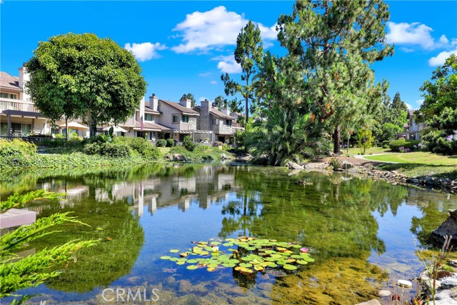 Detail Gallery Image 40 of 50 For 27112 Mill Pond #2,  Dana Point,  CA 92624 - 2 Beds | 2/1 Baths