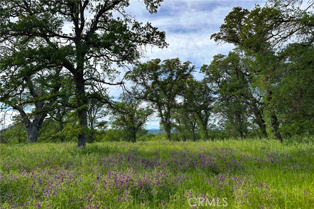 Detail Gallery Image 21 of 26 For 16475 River Heights Dr, Red Bluff,  CA 96080 - – Beds | – Baths