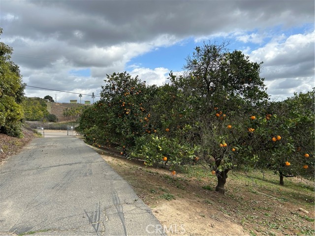 Home for Sale in Fallbrook