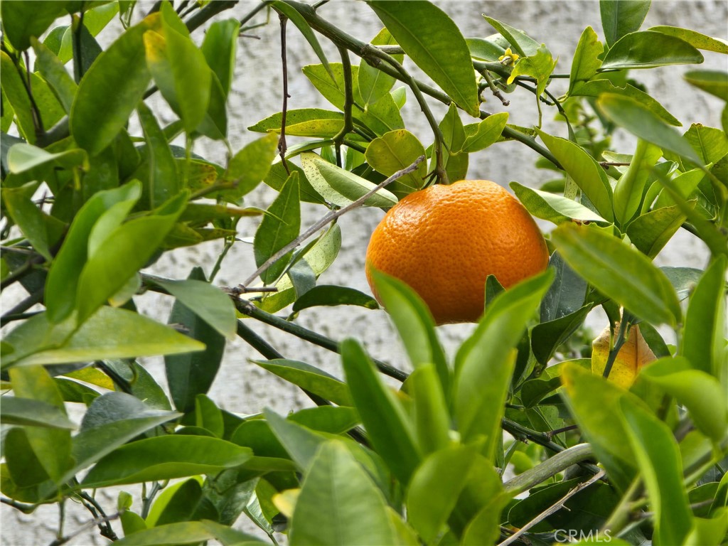 https://media.crmls.org/medias/d33b415c-1bbd-4e17-8c6f-56659367045f.jpg?preset=X-Large