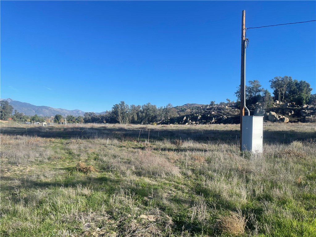 MLS #WS25276306 image #4