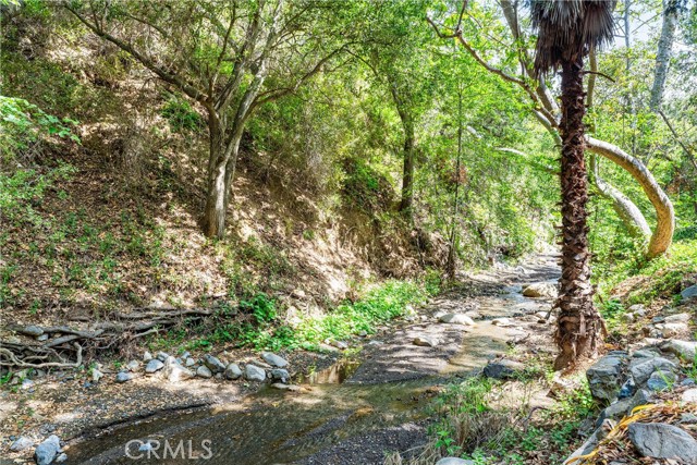 25 Hot Spring Canyon Rd, San Juan Capistrano CA: https://media.crmls.org/medias/d3490e19-bf02-4955-9a73-2ab9e1b6afdc.jpg