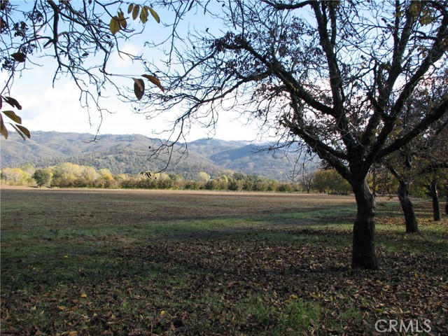 Detail Gallery Image 10 of 20 For 10256 Elk Mountain Rd., Upper Lake,  CA 95485 - – Beds | – Baths