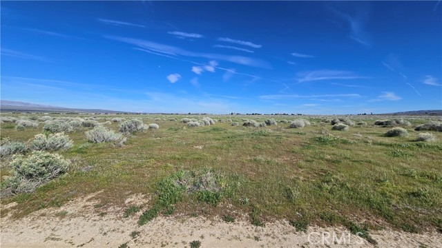 Detail Gallery Image 14 of 36 For 0 Vicinity Ave B12 & 265th St W, –,  CA 93536 - – Beds | – Baths