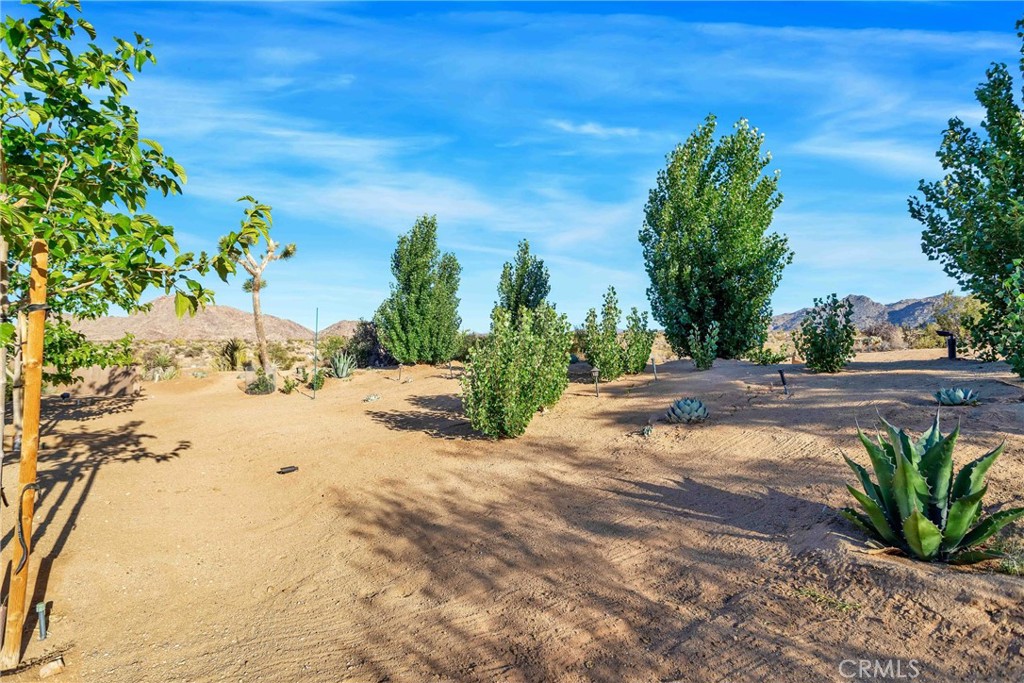 https://media.crmls.org/medias/d3518d62-e621-45c5-b53f-6abd47f2c9cf.jpg?preset=X-Large