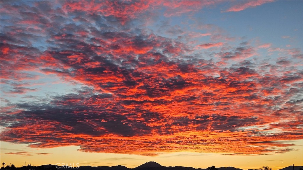 https://media.crmls.org/medias/d351e581-c54c-42e8-887f-5ba06957f28d.jpg?preset=X-Large