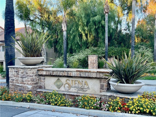 Front Image Thumbnail for CRSR25268882