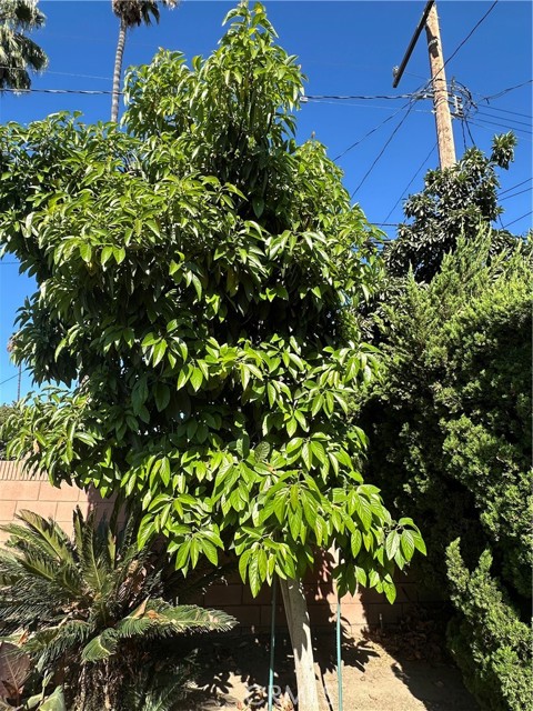 MLS #DW25237635 image #15