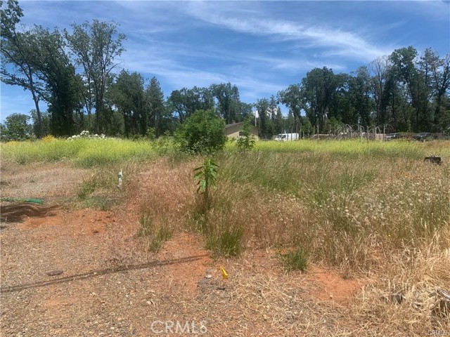 889 Deer Creek Lane, Paradise CA: https://media.crmls.org/medias/d361f077-61e3-40f3-81e1-415abce20d14.jpg
