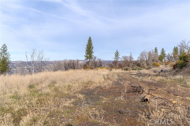 2231 Lumpkin Road, Oroville, California 95966, ,Land,For Sale,2231 Lumpkin Road,CRSN23227176