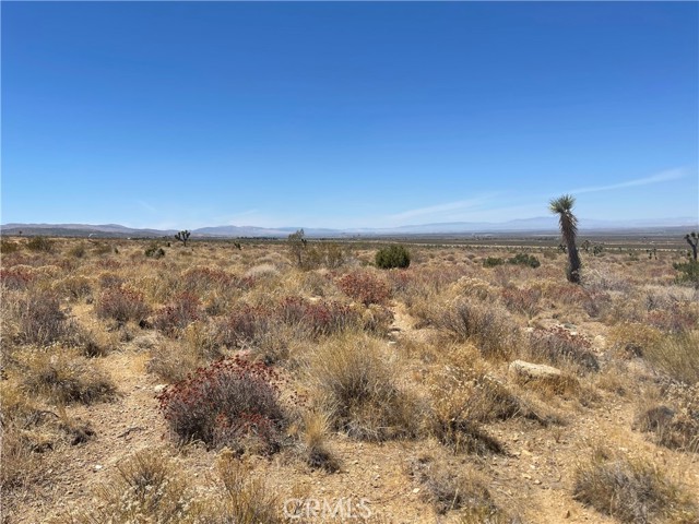  Land for Sale in Llano, California
