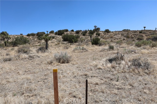 Detail Gallery Image 44 of 58 For 0 Longview Rd, Pearblossom,  CA 93553 - – Beds | – Baths