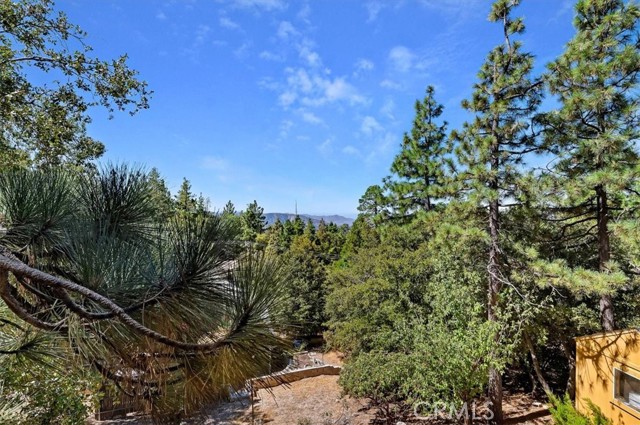 Detail Gallery Image 6 of 34 For 26745 Hopkins Rd, Idyllwild,  CA 92549 - 2 Beds | 1/1 Baths