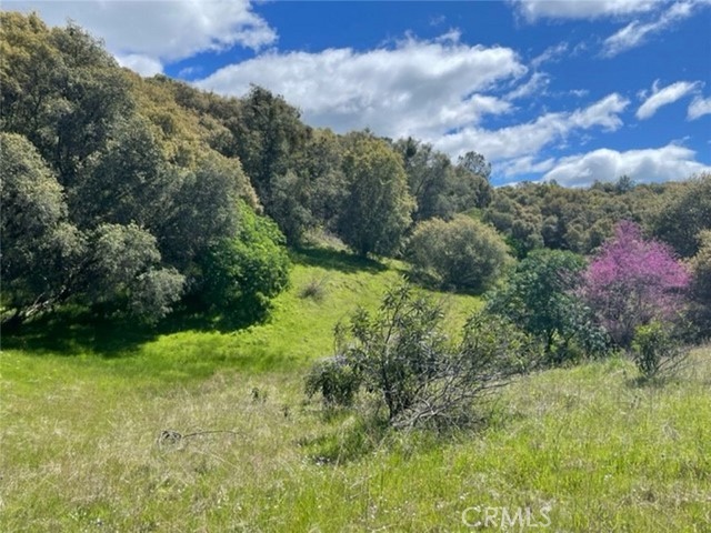 Detail Gallery Image 2 of 14 For 0 77.73 Ac Two Hills Rd, North Fork,  CA 93643 - – Beds | – Baths