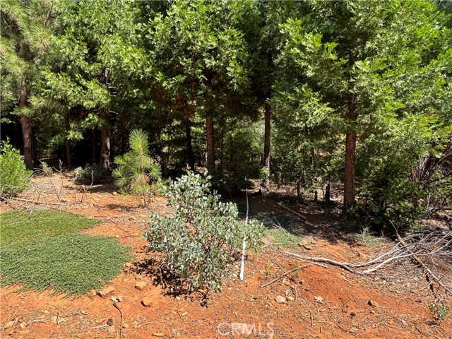 0 Via De Maia, Magalia CA: https://media.crmls.org/medias/d3749b00-2490-475b-9377-0085c8d96fa5.jpg