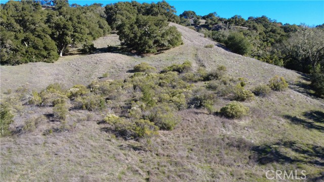 Detail Gallery Image 9 of 11 For 0 El Monte, Templeton,  CA 93465 - – Beds | – Baths