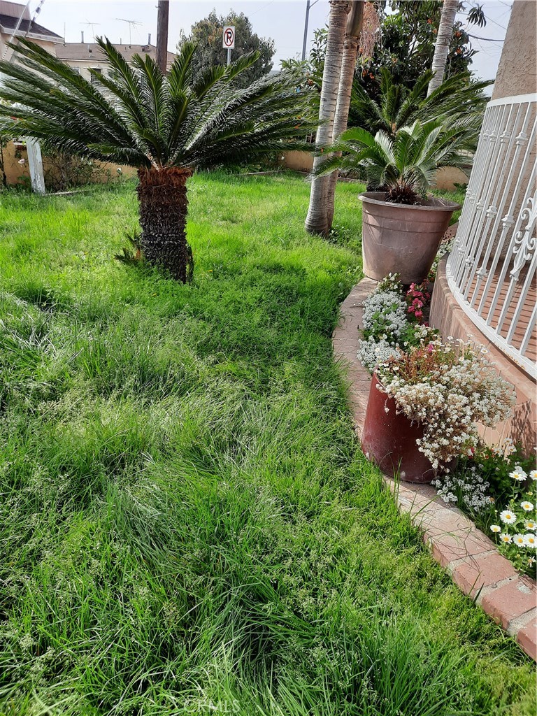 D38421Ef 2137 4020 8280 F11E4555Ed6E 10701 Doty Ave, Inglewood, Ca 90303 &Lt;Span Style='BackgroundColor:transparent;Padding:0Px;'&Gt; &Lt;Small&Gt; &Lt;I&Gt; &Lt;/I&Gt; &Lt;/Small&Gt;&Lt;/Span&Gt;