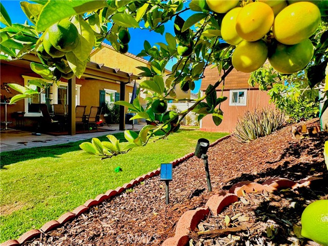 Detail Gallery Image 13 of 18 For 25332 Hitch Rail Ln, Menifee,  CA 92584 - 3 Beds | 2 Baths