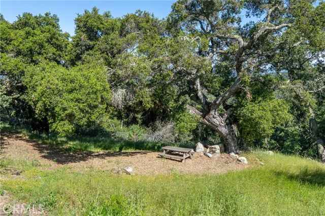 Detail Gallery Image 54 of 63 For 10885 San Marcos Rd, Atascadero,  CA 93422 - 4 Beds | 3/1 Baths