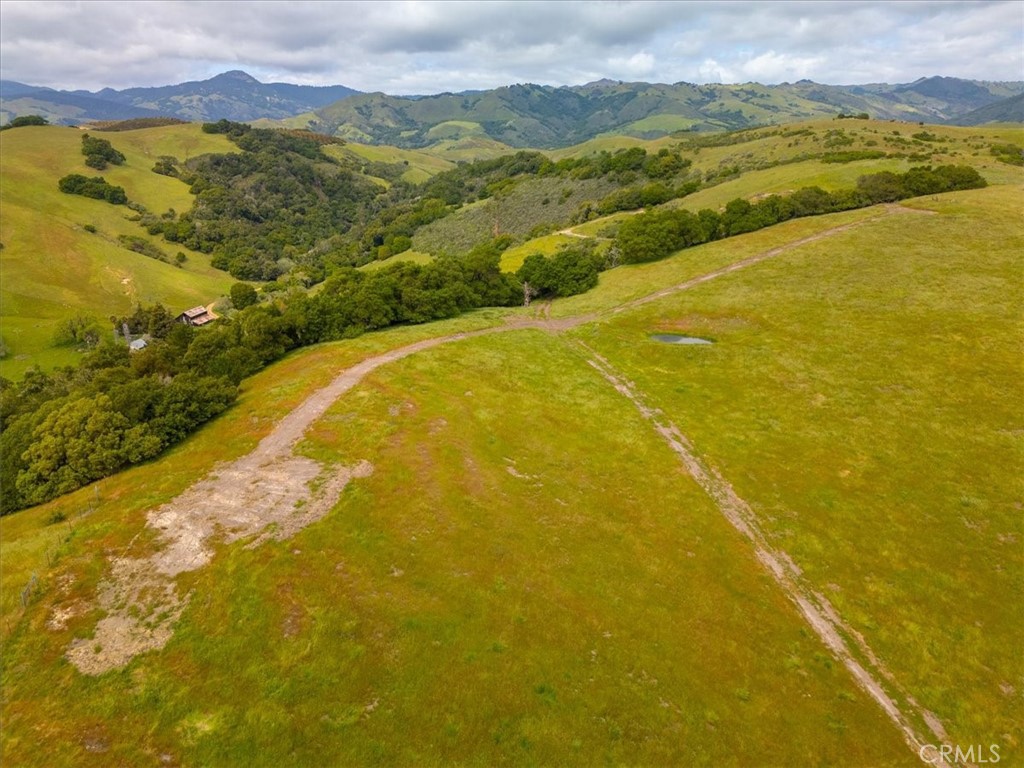 MLS #PI25041316 image #22