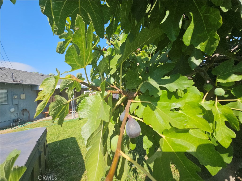 https://media.crmls.org/medias/d38d968d-f968-4e68-87b3-b3cbb85742ef.jpg?preset=X-Large