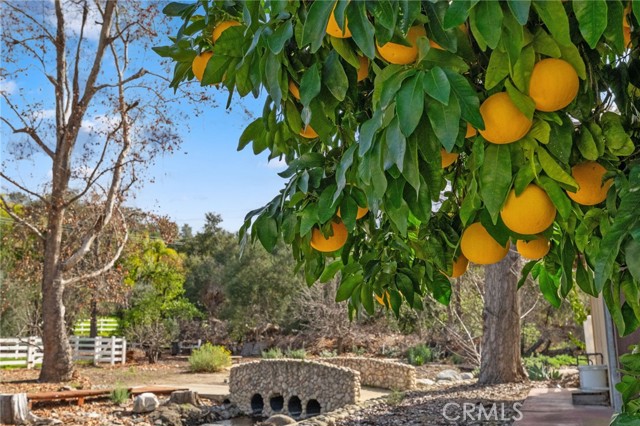 Detail Gallery Image 69 of 74 For 25805 Avenida Del Oro, Temecula,  CA 92590 - 4 Beds | 4/1 Baths