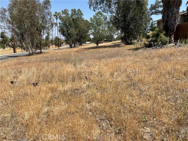 16 Riverside Drive, Lake Elsinore, California 92530, ,Land,For Sale,16 Riverside Drive,CRSW22090993