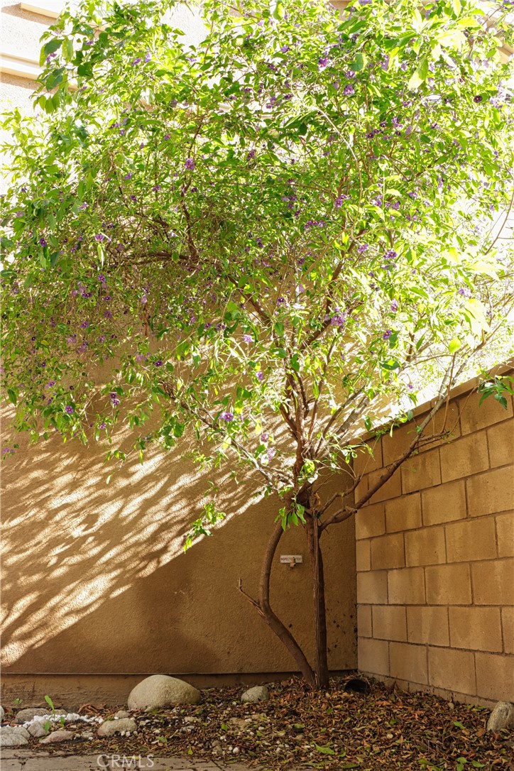 https://media.crmls.org/medias/d394f9e0-cd5c-448c-8e0d-0d82e17f8392.jpg?preset=X-Large